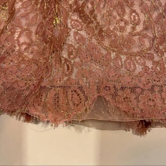 Ann Taylor Pink Lace Sheath Ribbon Dress - Picture 5 of 9